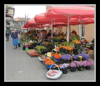 [Click to enlarge image]